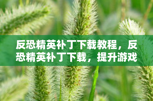 反恐精英补丁下载教程，反恐精英补丁下载，提升游戏体验的必备工具
