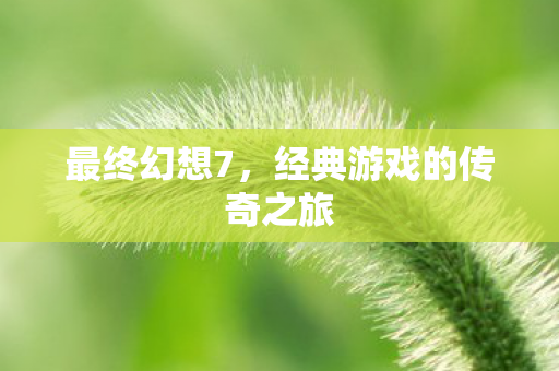 经典游戏的传奇之旅图片