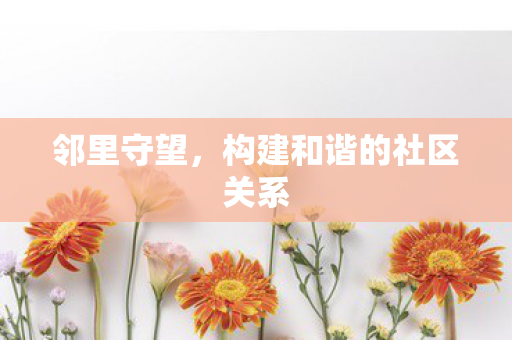 邻里守望，构建和谐的社区关系