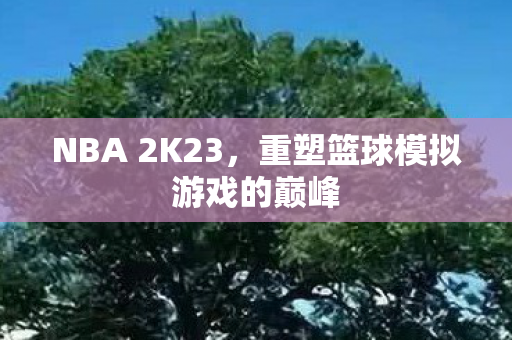 NBA 2K23，重塑篮球模拟游戏的巅峰