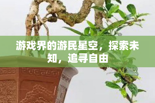 游戏界的游民星空，探索未知，追寻自由
