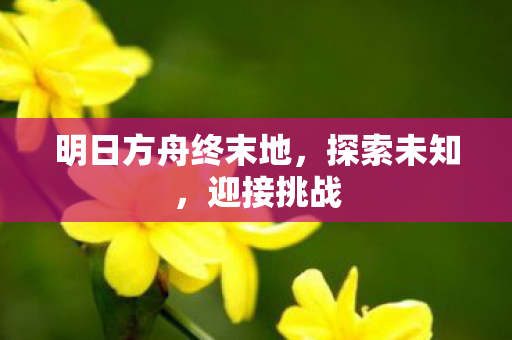 明日方舟终末地，探索未知，迎接挑战