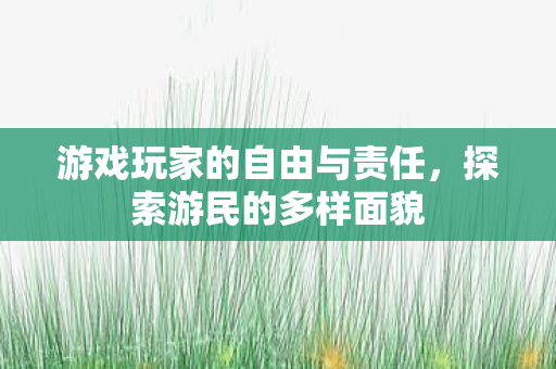 游戏玩家的自由与责任,探索游民的多样面貌 游戏玩家的自由与责任,探索游民的多样面貌