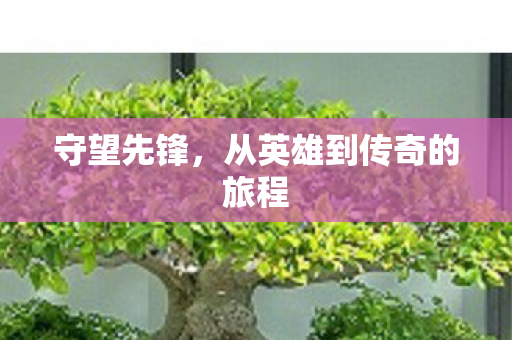 守望先锋，从英雄到传奇的旅程