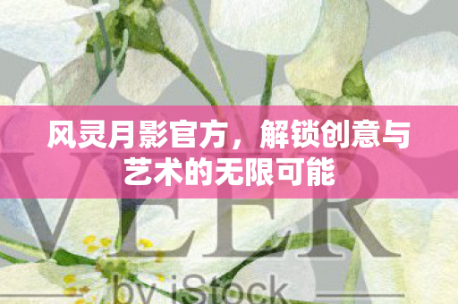 风灵月影官方，解锁创意与艺术的无限可能