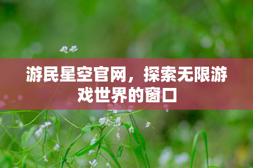 游民星空官网，探索无限游戏世界的窗口