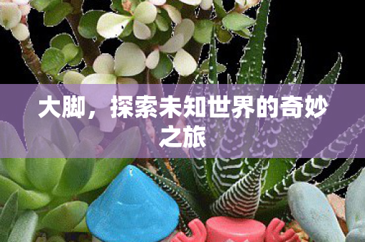 大脚，探索未知世界的奇妙之旅