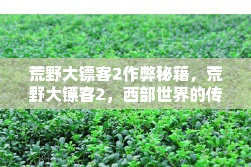 荒野大镖客2作弊秘籍,荒野大镖客2,西部世界的传奇之旅 荒野大镖客2作弊秘籍,荒野大镖客2,西部世界的传奇之旅