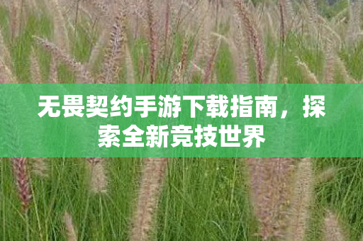 无畏契约手游下载指南，探索全新竞技世界