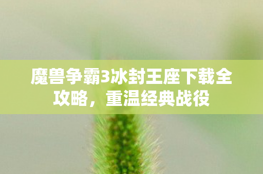 魔兽争霸3冰封王座下载全攻略，重温经典战役