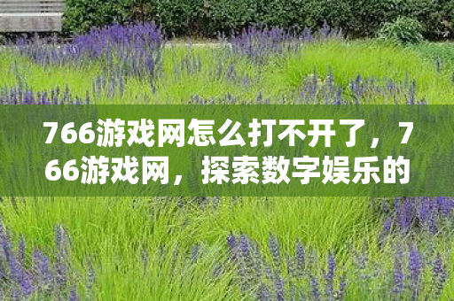 766游戏网怎么打不开了，766游戏网，探索数字娱乐的新天地