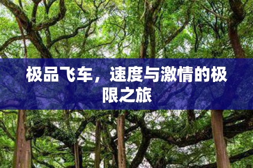 极品飞车，速度与激情的极限之旅