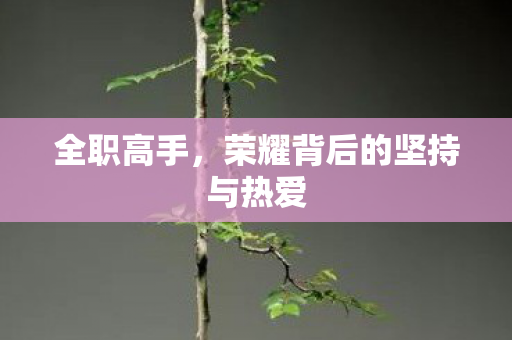 全职高手,荣耀背后的坚持与热爱 全职高手,荣耀背后的坚持与热爱