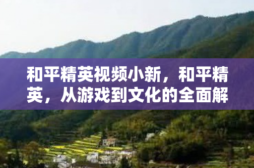 和平精英视频小新，和平精英，从游戏到文化的全面解析