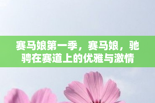 赛马娘第一季,赛马娘,驰骋在赛道上的优雅与激情 赛马娘第一季,赛马娘,驰骋在赛道上的优雅与激情