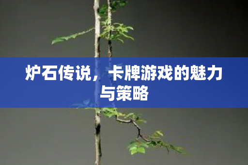 炉石传说,卡牌游戏的魅力与策略 炉石传说,卡牌游戏的魅力与策略