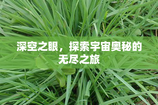 深空之眼，探索宇宙奥秘的无尽之旅