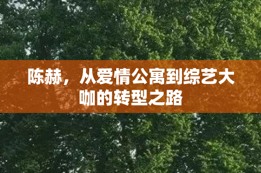 陈赫，从爱情公寓到综艺大咖的转型之路