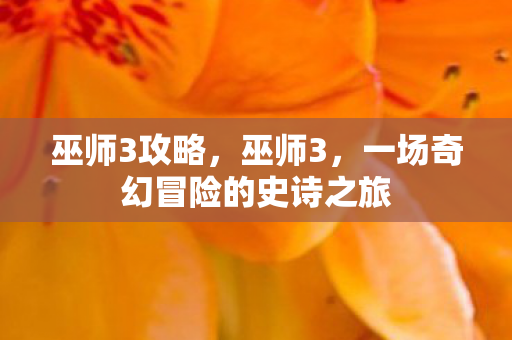 巫师3攻略，巫师3，一场奇幻冒险的史诗之旅