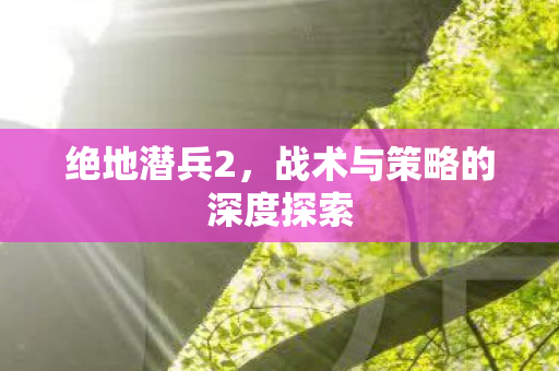 绝地潜兵2，战术与策略的深度探索