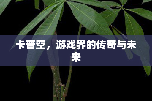 卡普空,游戏界的传奇与未来 卡普空,游戏界的传奇与未来