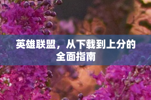 英雄联盟，从下载到上分的全面指南