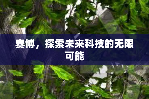 赛博，探索未来科技的无限可能