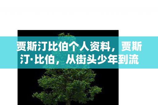 贾斯汀比伯个人资料，贾斯汀·比伯，从街头少年到流行天王的蜕变之路