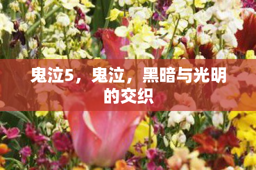 鬼泣5,鬼泣,黑暗与光明的交织 鬼泣5,鬼泣,黑暗与光明的交织