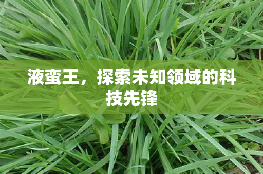 液蛮王,探索未知领域的科技先锋 液蛮王,探索未知领域的科技先锋