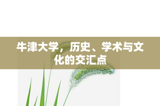 牛津大学，历史、学术与文化的交汇点