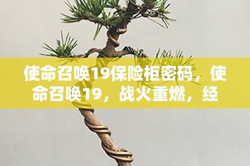使命召唤19保险柜密码，使命召唤19，战火重燃，经典IP再续传奇