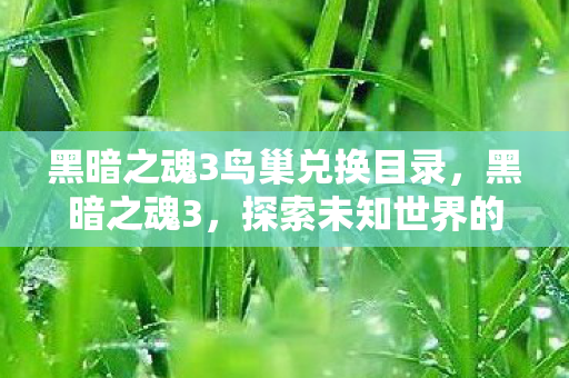 黑暗之魂3鸟巢兑换目录,黑暗之魂3,探索未知世界的无尽挑战 黑暗之魂3鸟巢兑换目录,黑暗之魂3,探索未知世界的无尽挑战