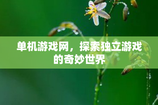 单机游戏网，探索独立游戏的奇妙世界