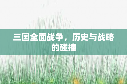 三国全面战争，历史与战略的碰撞