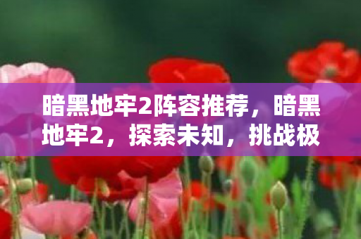 暗黑地牢2阵容推荐，暗黑地牢2，探索未知，挑战极限