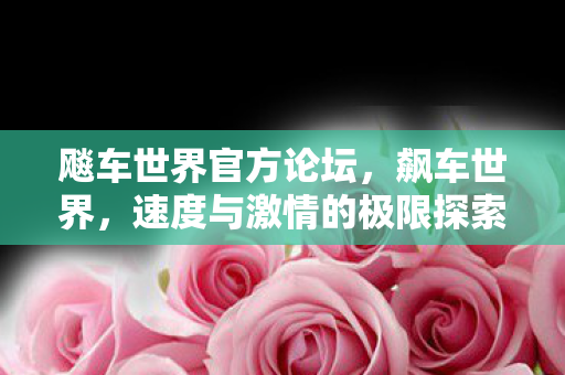 飚车世界官方论坛，飙车世界，速度与激情的极限探索