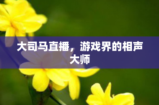大司马直播，游戏界的相声大师