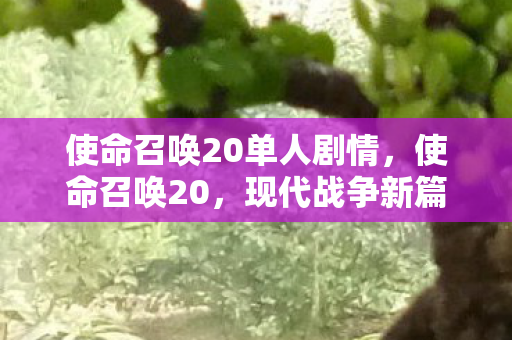 使命召唤20单人剧情，使命召唤20，现代战争新篇章的震撼回归