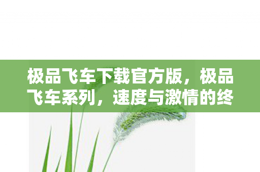 速度与激情的终极体验图片