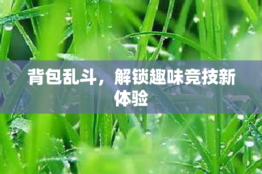 背包乱斗，解锁趣味竞技新体验