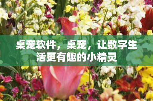 桌宠软件，桌宠，让数字生活更有趣的小精灵