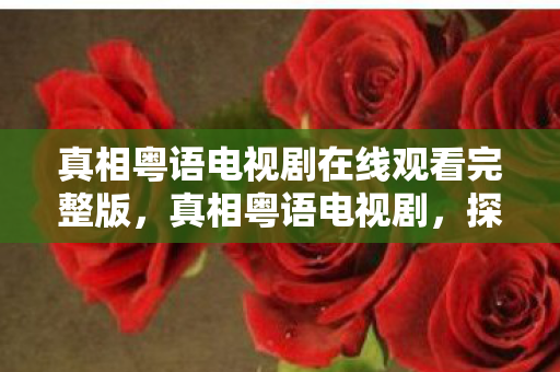 真相粤语电视剧在线观看完整版，真相粤语电视剧，探寻人性深处的秘密
