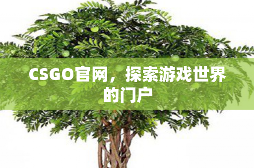 CSGO官网，探索游戏世界的门户