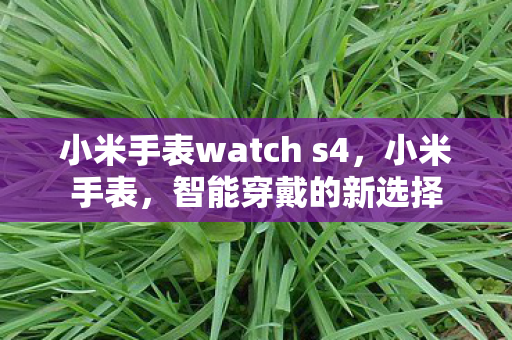 小米手表watch s4，小米手表，智能穿戴的新选择