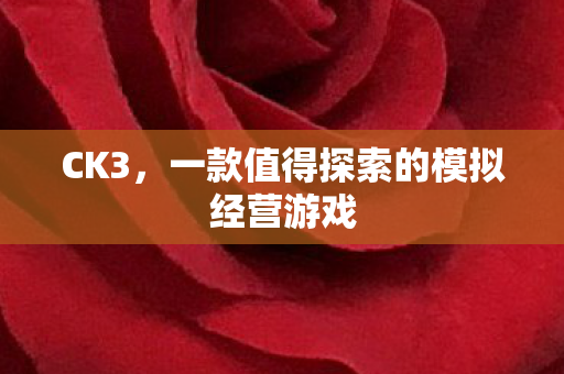 CK3，一款值得探索的模拟经营游戏