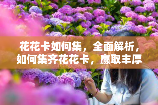 花花卡如何集，全面解析，如何集齐花花卡，赢取丰厚奖励！