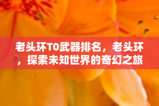 老头环T0武器排名，老头环，探索未知世界的奇幻之旅
