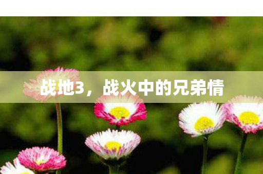 战地3，战火中的兄弟情