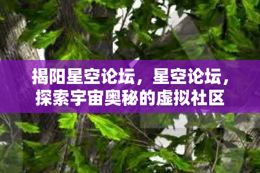 揭阳星空论坛，星空论坛，探索宇宙奥秘的虚拟社区